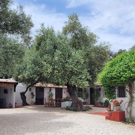 Vila Casa Abanto Ronda Exteriér fotografie