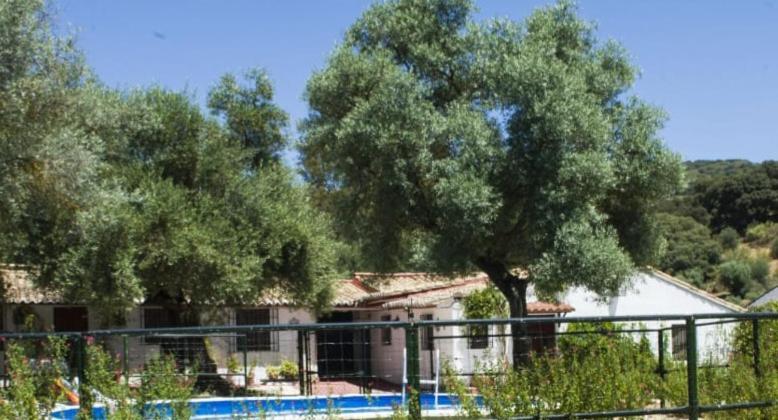 Vila Casa Abanto Ronda Exteriér fotografie