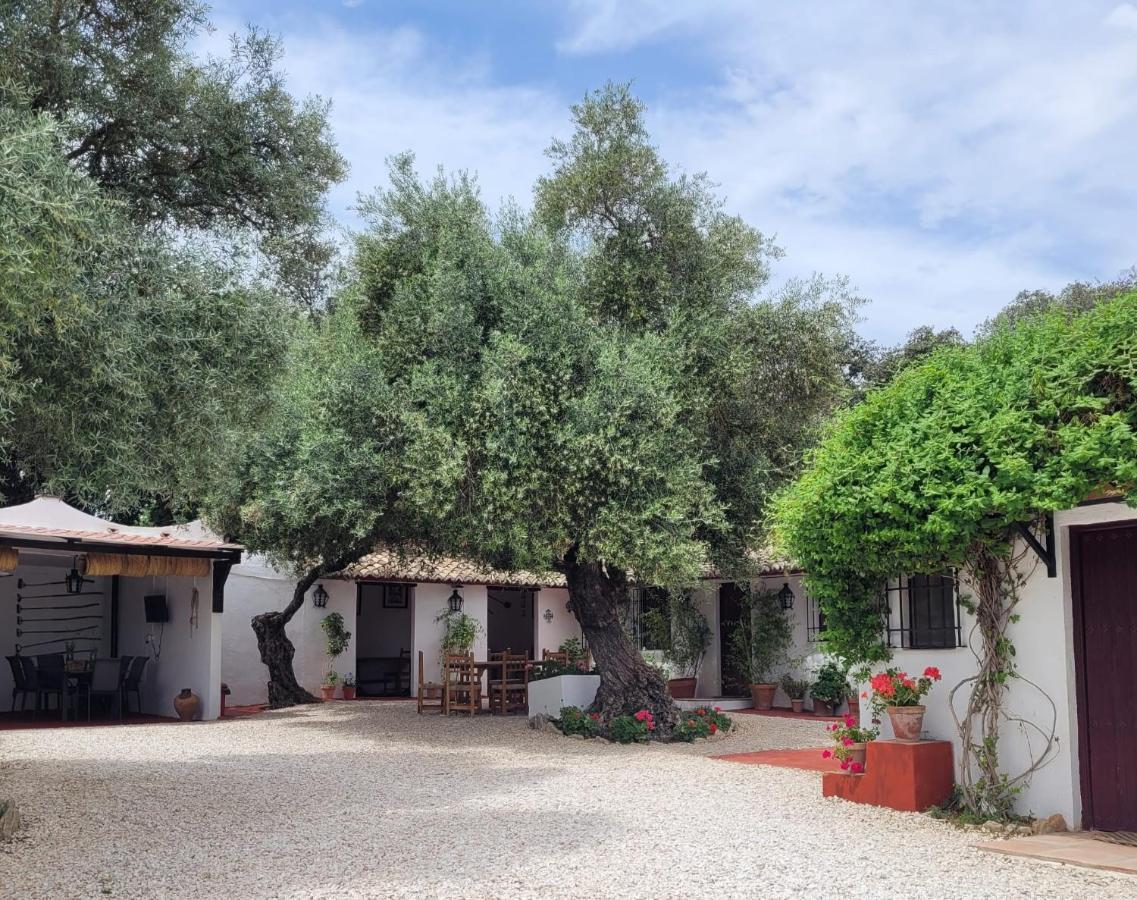 Vila Casa Abanto Ronda Exteriér fotografie