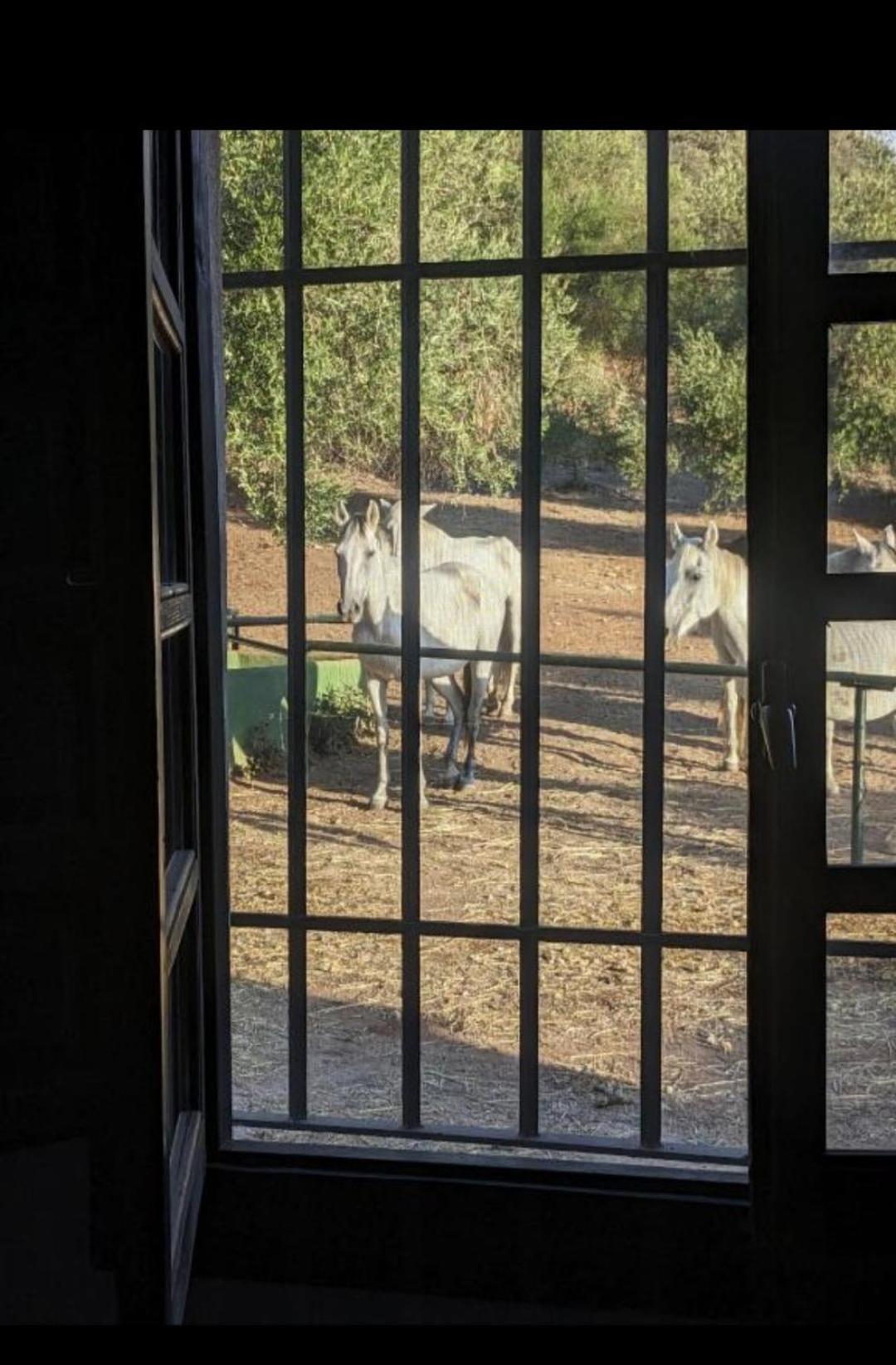 Vila Casa Abanto Ronda Exteriér fotografie