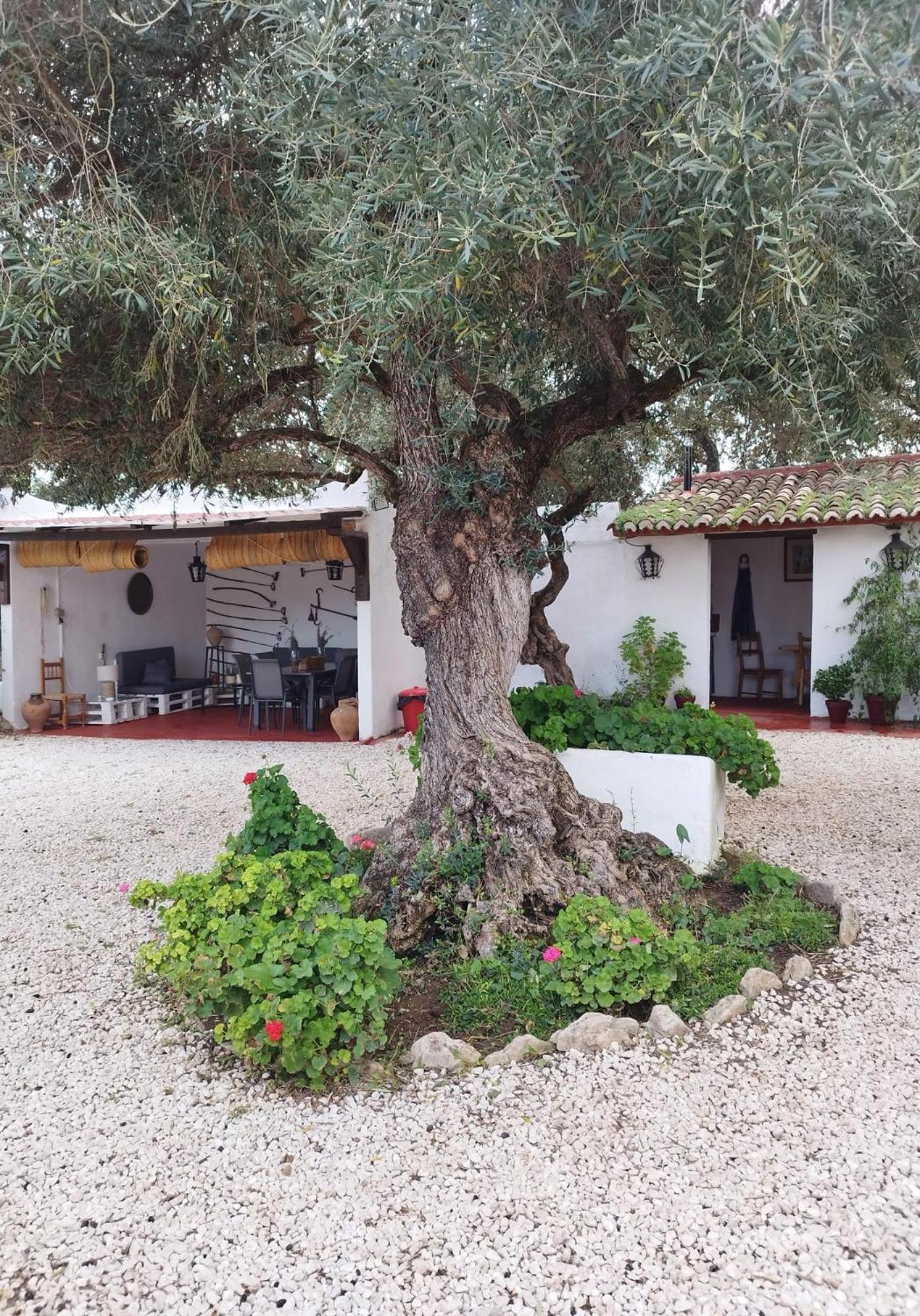 Vila Casa Abanto Ronda Exteriér fotografie